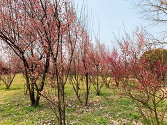 -蜀冈西峰生态公园