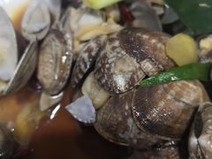 -大萝卜烧烤羊蝎子烤全羊(新城河路店)