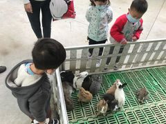 -史努比缤纷世界