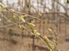 -北京麋鹿生态实验中心