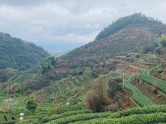 -杨家堂村
