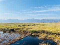 -野鸭湖国家湿地公园