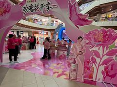 -天津梅江印象城