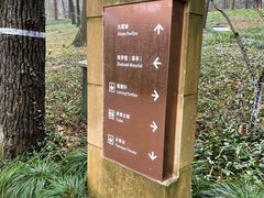 -九曜山