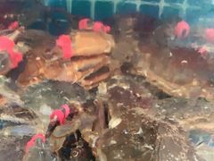 -宾朋海鲜美食餐厅·特色美食(兴海路店)