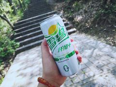 -紫金山山顶公园