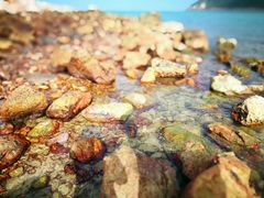 -西涌国际滨海旅游区