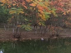 -长白岛森林公园