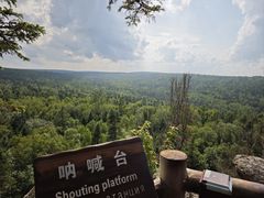 -汤旺河林海奇石景区