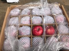-双福水果批发市场