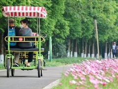 -桤木河湿地公园