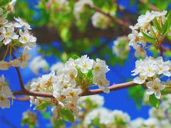 -丽江泸沽湖景区