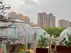 -享月汤皇·海鲜小火锅·聚会(曲江创意谷店)