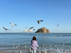 -星海湾跨海大桥