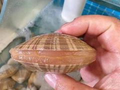 -兴隆海鲜菜馆