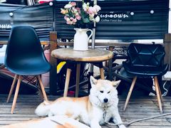 -久馆NineHouse