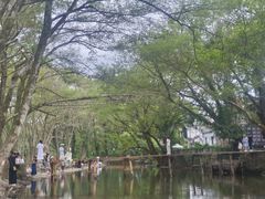 -西溪南古村落