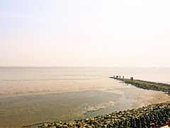 iphone_upload_pic-瀛洲公园