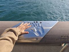 -星光大道