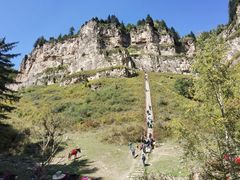 -芦芽山旅游度假区