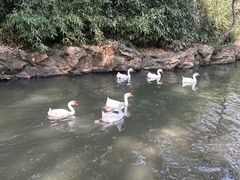 -兰亭风景区