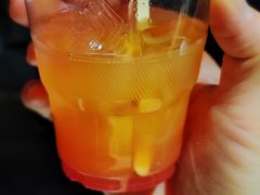 -新加坡航空公司(ION)