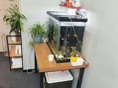 -会麦二手奢侈品包包手表回收寄卖(八佰伴店)