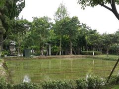 android_upload_pic-朱家角课植园