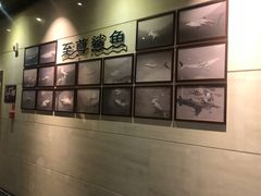 -至尊鲨鱼·原烹海鲜·新浙菜(拱宸桥店)