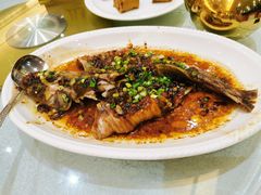 豉汁蒸江豚-顺德佬酒楼(粤海店)
