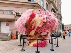 -上街里市集(悦喜客来广场店)
