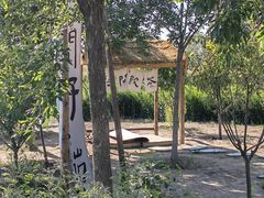 -西青郊野公园