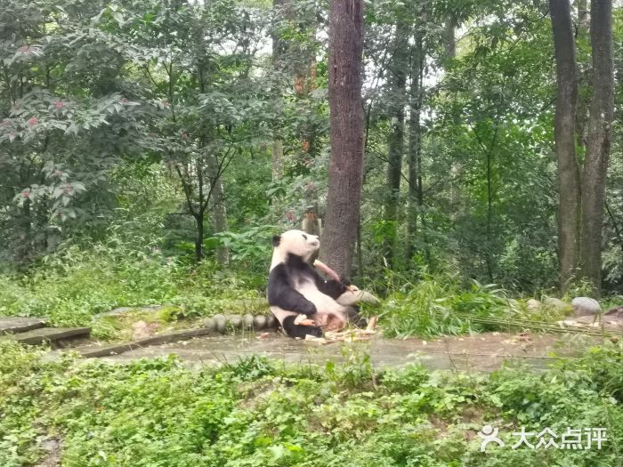 碧峰峡风景区图片