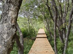 -白草畔自然风景区