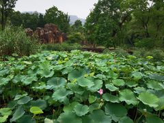 -白马涧龙池景区