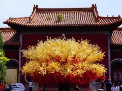 -苍岩山风景名胜区