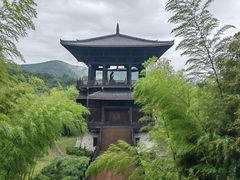 -大唐贡茶院