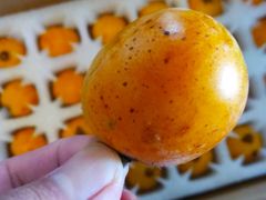 -梨云山居农家乐