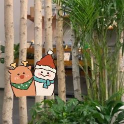 -芳香乐府疗愈空间·SPA·冥想