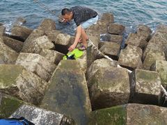 -青岛第二海水浴场