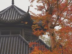 -常德桃花源景区