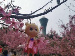 -狐尾山公园