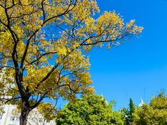-昆明城市学院(海源校区)