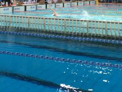 -重庆市奥林匹克体育中心-游泳跳水馆