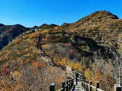 -大岭沟猕猴桃谷风景区