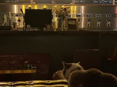 -后院儿·精酿·塔罗Happy Bar