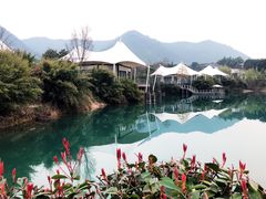 -帐篷客·溪龙茶谷度假酒店