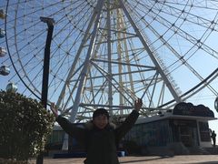 -琴岛之星摩天轮