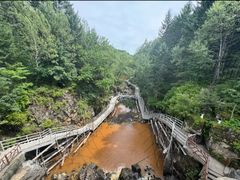-茅兰沟国家森林公园