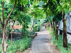 -呀路古热带植物园